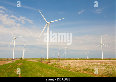 Éoliennes dans le champ vert avec un beau ciel bleu Banque D'Images