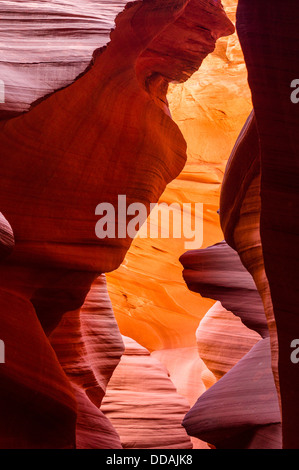 Chaude lumière rougeoyante dans Lower Antelope canyon fente sur la Réserve Navajo près de Page, Arizona. Banque D'Images