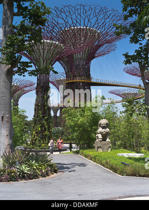 Dh Supertree Grove GARDEN PAR LE BAY SINGAPOUR Supertrees jardins vertical skyway walkway couple dames flânant Banque D'Images