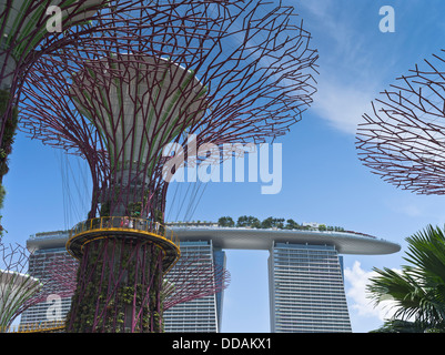 Dh Supertree Grove GARDENS BY THE BAY SINGAPOUR Supertrees jardins verticaux Marina Bay Sands passerelle Skyway Hotel Sky Garden Banque D'Images