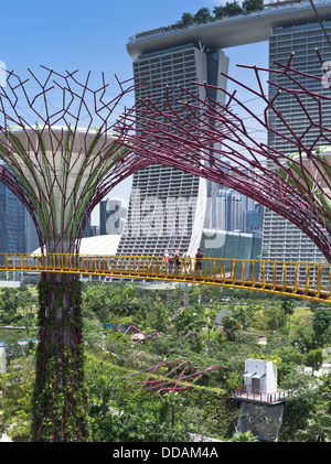 dh Supertree Grove skyway JARDINS PRÈS DE LA BAIE DE SINGAPOUR Supertrees jardins verticaux personnes marchant sur un chemin élevé arbres ciel jardin Banque D'Images