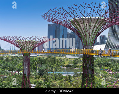 Dh Supertree Grove GARDENS BY THE BAY SINGAPOUR Supertrees jardin vertical people walking skyway walkway skyscraper park Banque D'Images