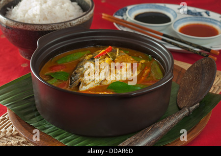 Curry de Tête de poisson de Singapour Banque D'Images