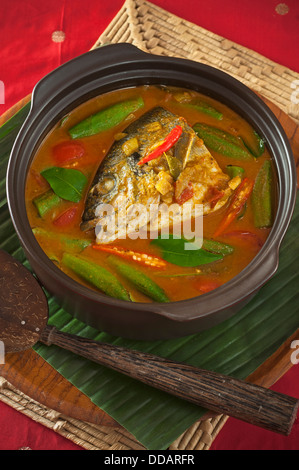 Curry de Tête de poisson de Singapour Banque D'Images