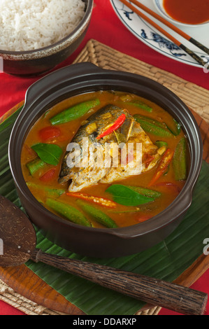 Curry de Tête de poisson de Singapour Banque D'Images