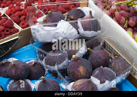 Fruits frais mûrs fig Ficus carica dans des contenants en plastique Banque D'Images