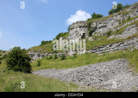 Falaise de calcaire à Lathkill Dale, Derbyshire, Royaume-Uni Banque D'Images