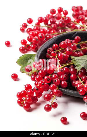 Tas de cassis frais over white Banque D'Images