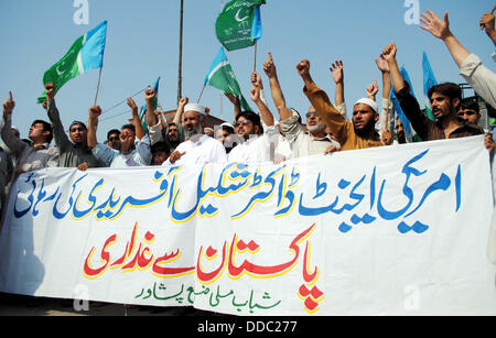 Le Pakistan. Août 30, 2013. Les partisans du Jamat-e-Islami (JI) chanter des slogans contre Dr Shakeel Afridi, l'homme qui a aidé la CIA traquer Oussama ben Laden, au cours de manifestation de protestation au press club de Peshawar le Vendredi, Août 30, 2013. Credit : Asianet-Pakistan/Alamy Live News Banque D'Images