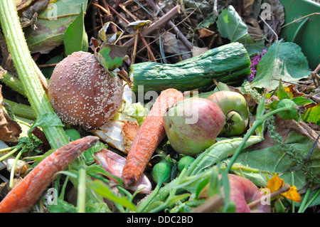 Composé de déchets déchets ménagers et des plantes dans un bac Banque D'Images