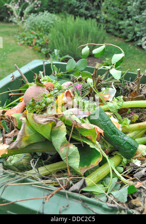 Composé de déchets déchets ménagers et des plantes dans un bac Banque D'Images