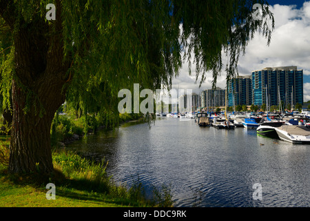 Willow Tree sur Barrie Ontario Canada Marina sur la baie Kempenfelt avec bateaux et condos Banque D'Images