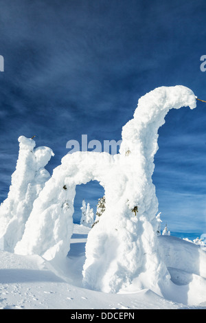 Snow ghosts sur Silver Star Mountain Resort, près de Vernon, Colombie-Britannique, Canada. Banque D'Images