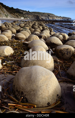 En forme d'oeuf ronde rochers au Bowling Ball Beach Schooner Gulch Point Arena California USA Pacific coast ocean Banque D'Images