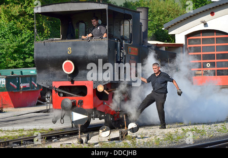 Achensee Achensee, narrow gauge steam cog railway, Jenbach, doyen mondial des locomotives à vapeur cog. Banque D'Images