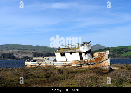 Le Point Reyes naufrage abandonnés le long du rivage de Tomales Bay Point Reyes National Seashore Californie Banque D'Images