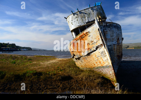 Le Point Reyes naufrage abandonnés le long du rivage de Tomales Bay Point Reyes National Seashore Californie Banque D'Images