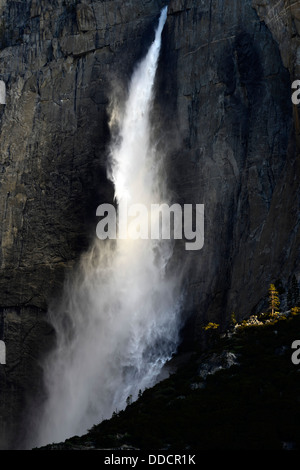 Lever du soleil tôt le matin à travers les danses d'écumage lumière yosemite falls cascade supérieure wispy apparence Yosemite National Park Banque D'Images