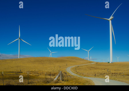 Route d'accès à SMUD wind farm dans le Montezuma Hills près de Rio Vista en Californie. Chaque tour est de 415 pieds de haut et génère plus de 3 MW. Banque D'Images