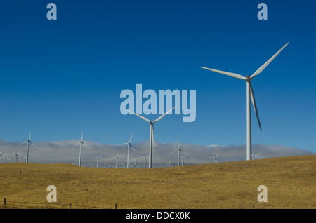 SMUD wind farm dans le Montezuma Hills près de Rio Vista en Californie. Chaque tour est de 415 pieds de haut et génère plus de 3 MW. Banque D'Images