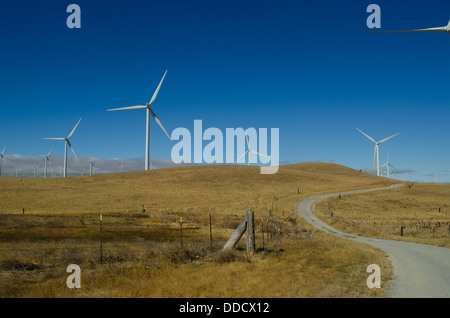 SMUD wind farm dans le Montezuma Hills près de Rio Vista en Californie. Chaque tour est de 415 pieds de haut et génère plus de 3 MW. Banque D'Images