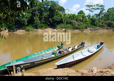 Canoës à côté du Rio Cononaco en Amazonie équatorienne Banque D'Images