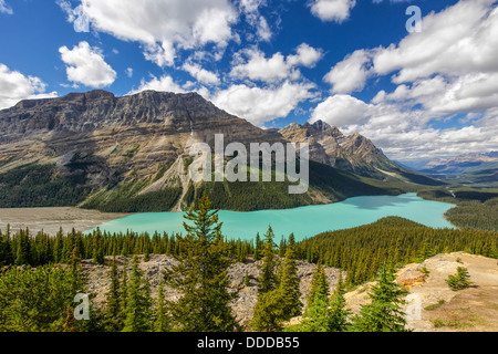 Vue sur le spectaculaire Lac Peyto, dans le parc national Banff, Alberta, Canada. Banque D'Images