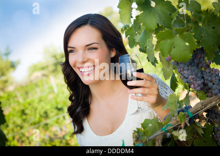 Jolie Mixed Race Woman buvant un verre de vin dans le vignoble. Banque D'Images