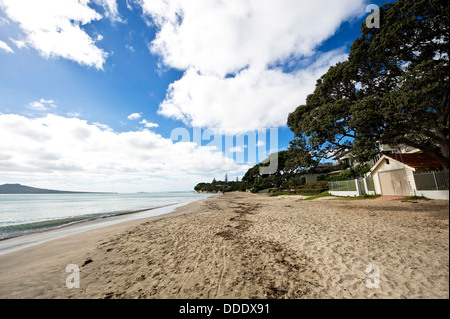 Plage de Nouvelle-Zélande - Auckland. L'Île Rangitoto dans la distance Banque D'Images