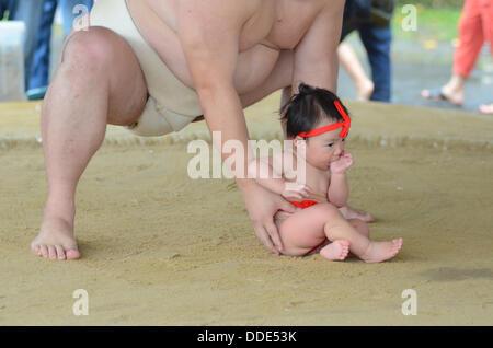 Les lutteurs et Les bébés prendre part à un événement de sumo à Matsuo Taisha à Kyoto, au Japon. Banque D'Images