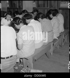 Manzanar Manzanar, Centre de réinstallation, en Californie. Partie d'une classe sous le programme d'éducation des adultes . . . 538090 Banque D'Images