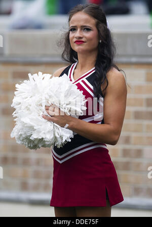 July 30, 2013 - South Bend, Indiana, États-Unis d'Amérique - 31 août 2013 : Temple cheerleader pendant NCAA Football action de jeu entre la Cathédrale Notre Dame Fighting Irish et le Temple Owls au stade Notre-dame à South Bend, Indiana. Notre Dame défait 28-6 du Temple. Banque D'Images