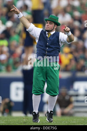 July 30, 2013 - South Bend, Indiana, États-Unis d'Amérique - 31 août 2013 : Notre Dame lutin effectue au cours de NCAA Football action de jeu entre la Cathédrale Notre Dame Fighting Irish et le Temple Owls au stade Notre-dame à South Bend, Indiana. Notre Dame défait 28-6 du Temple. Banque D'Images