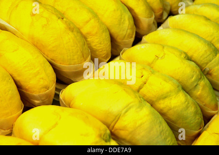 Fruits thaïlandais : 'Golden Pillow' durian Monthong () Banque D'Images