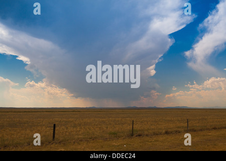 Avant qu'une grosse tempête dans la prairie dans le Wyoming aux USA Banque D'Images