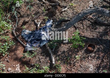 July 30, 2013 - Tubac, Arizona, United States - Les mauvaises herbes qui ont grandi pendant la mousson en cacher une veste jetée le long d'un sentier de migrants dans les montagnes près de Tumacacori Tubac, Arizona, le sentier peut geler, la nuit, l'hiver, vont bien dans les températures à trois chiffres (Fahrenheit) à l'été et est chaud et humide pendant la saison des moussons. Les boîtes abandonnées le long du sentier sont couramment planté verticalement pour recueillir de l'eau pour d'autres, marchant à travers le désert. (Crédit Image : ©/ZUMAPRESS.com) s Seberger Banque D'Images