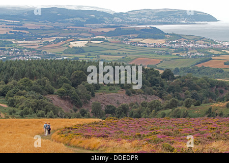 Les promeneurs sur les deux collines de Quantock avec Watchet dans l'arrière-plan. Le Somerset. UK Banque D'Images