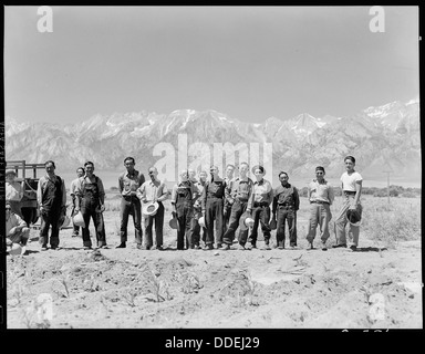 Manzanar Manzanar, Centre de réinstallation, en Californie. L'équipe de ferme qui Johnny Fukazawa est contremaître. T . . . 538050 Banque D'Images