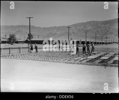 Manzanar Manzanar, Centre de réinstallation, en Californie. Docteur Robert Emerson, à l'extrême droite, visi . . . 538020 Banque D'Images