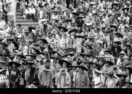 Communauté autochtone de principalement des hommes, la danse dans la ville plaza pendant les fêtes de l'Inti Raymi à Cotacachi (Équateur) Banque D'Images