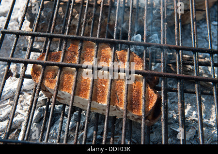 Tranche de pain grillée sur un feu de camp, Kunene River, en Namibie Banque D'Images