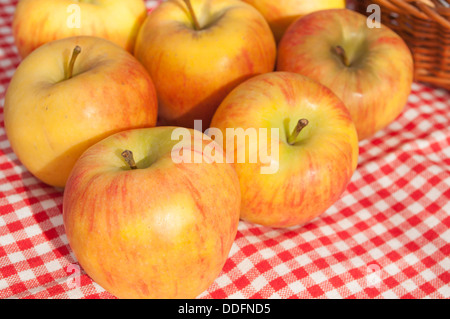 Libre de Rubens pommes dans la lumière du soleil sur la nappe vichy rouge - faible profondeur de champ Banque D'Images