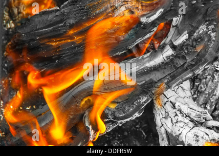 Vue dans le milieu d'un bois avec des flammes de feu, braise et bois noirci de sciage avec cendres blanches. Banque D'Images