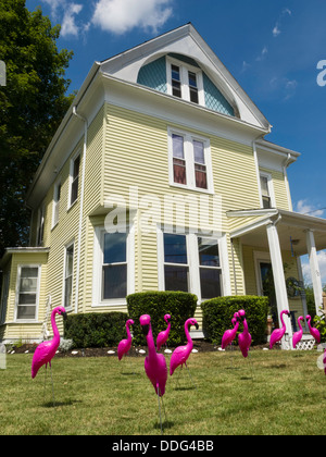 Volée de flamants roses en plastique sur la pelouse, blague, USA Banque D'Images