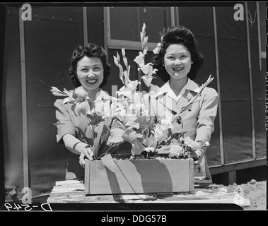 Manzanar Manzanar, Centre de réinstallation, en Californie. Nancy Kawashima (à gauche), et Emiko Hino, tous deux de . . . 538517 Banque D'Images