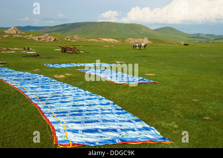 La Mongolie, province Arkhangai, Okhon vallée, yourte assemblée générale, la transhumance Banque D'Images