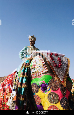 L'homme en robe royale traditionnelle du Rajasthan sur un éléphant, Elephant Festival, Jaipur, Rajasthan, Inde Banque D'Images