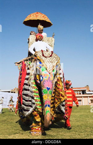 L'homme en robe royale traditionnelle du Rajasthan sur un éléphant, Elephant Festival, Jaipur, Rajasthan, Inde Banque D'Images