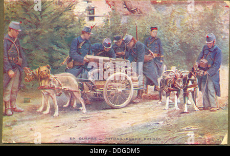 La Première Guerre mondiale carte postale belge de mitrailleuses belges transportés par des chiens Banque D'Images