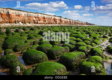 Falaises et plage de Hunstanton - falaises colorées à Old Hunstanton North Norfolk ville côtière Hunstanton Norfolk Angleterre GB Europe Banque D'Images